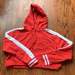 Pacsun Cropped Hoodie